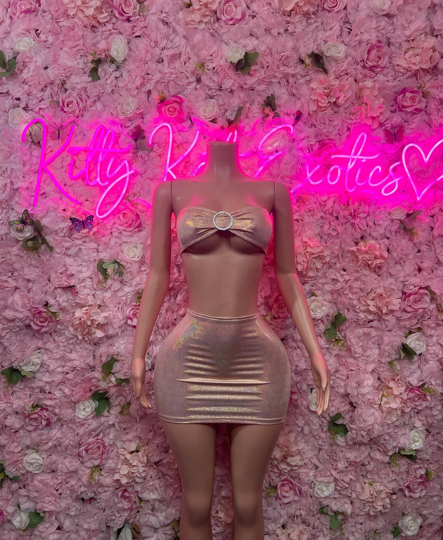 Sexy Two-Piece Metallic Skirt Set  Clubwear, Rave Outfit, Exotic Dancewear, Festival Outfit, Bottlegirl & Waitress Uniform, Nightclub Party