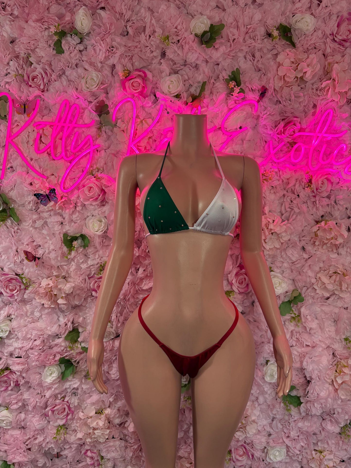 Cinco De Mayo Mexican Flag Bikini Set  Festive Two Piece Swimsuit Outfit for Party, Parade, or Beach  Mexico Colors Festival Wear