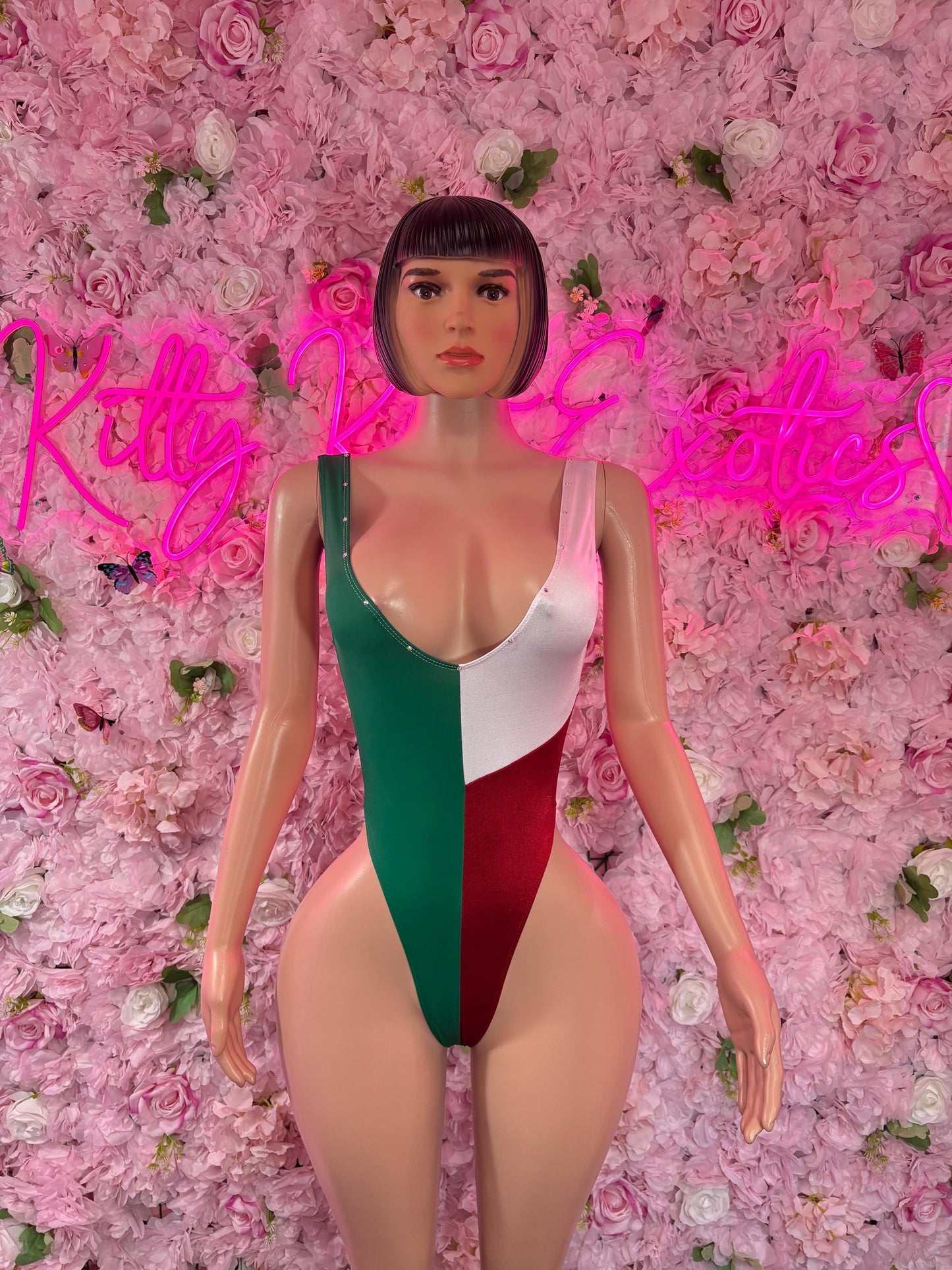 Cinco De Mayo Mexican Flag Bikini Set  Festive One Piece Swimsuit Outfit for Party, Parade, or Beach  Mexico Colors Festival Wear