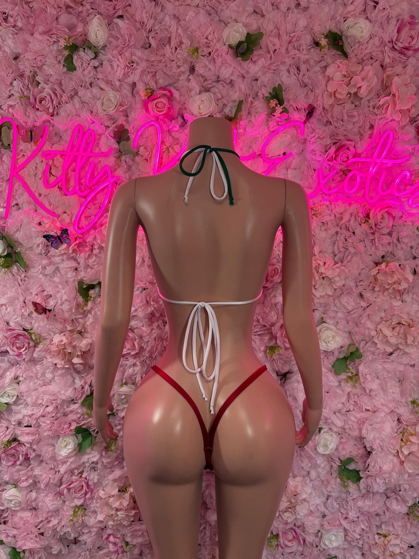 Cinco De Mayo Mexican Flag Bikini Set  Festive Two Piece Swimsuit Outfit for Party, Parade, or Beach  Mexico Colors Festival Wear