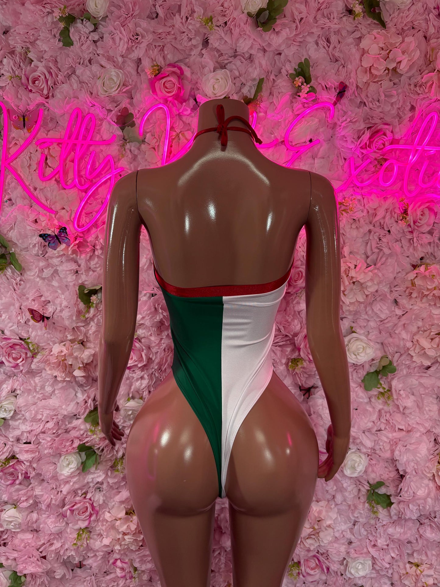 Cinco De Mayo Mexican Flag Bikini Set  Festive One Piece Swimsuit Outfit for Party, Parade, or Beach  Mexico Colors Festival Wear