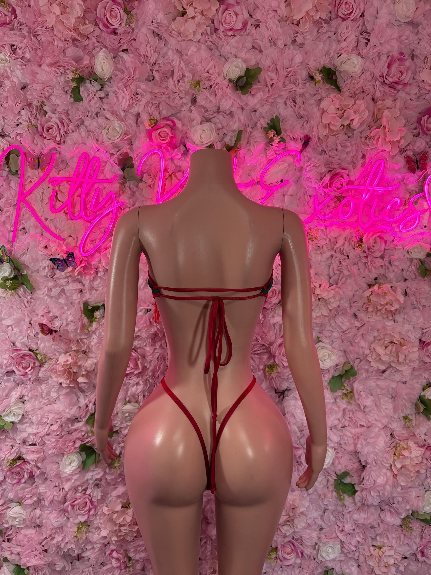 Cinco De Mayo Mexican Flag Bikini Set  Festive One Piece Swimsuit Outfit for Party, Parade, or Beach  Mexico Colors Festival Wear