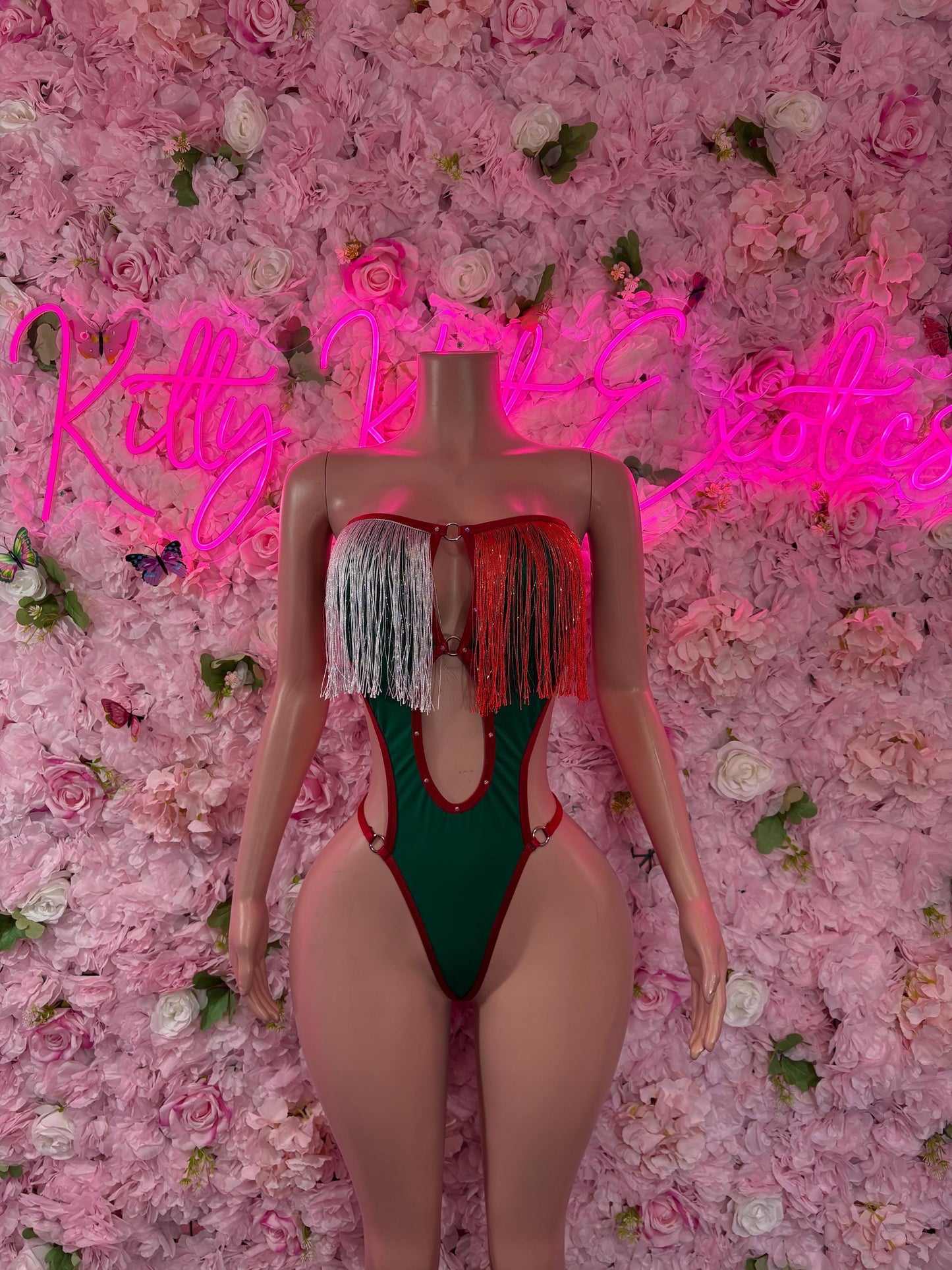 Cinco De Mayo Mexican Flag Bikini Set  Festive One Piece Swimsuit Outfit for Party, Parade, or Beach  Mexico Colors Festival Wear