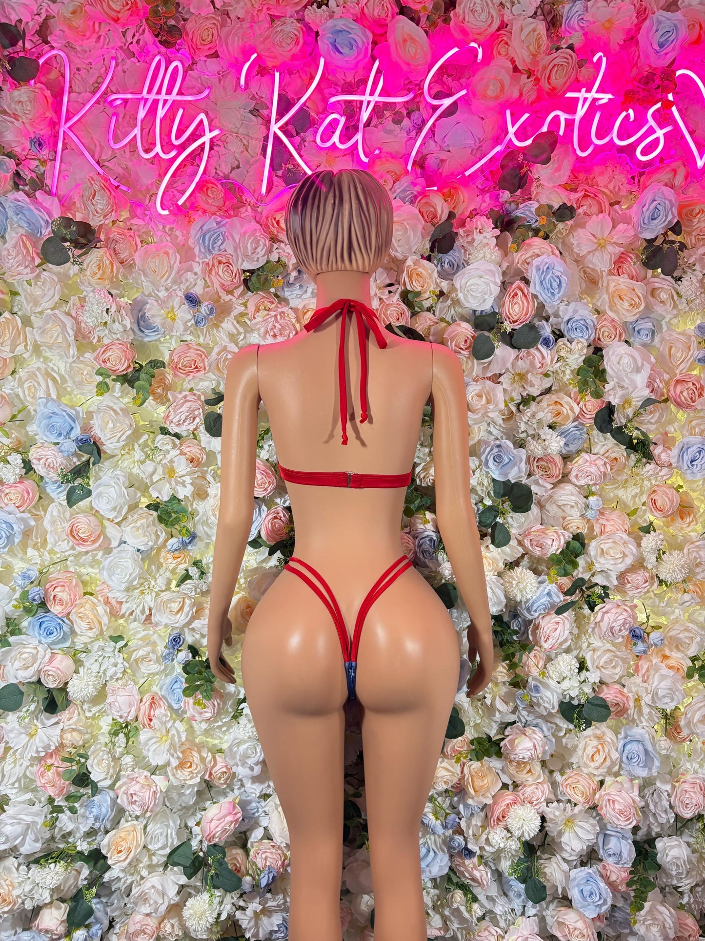 USA Flag Two Piece Bikini  USA Patriotic Exotic Outfit for Strippers, Raves, , and Performers  Red White & Blue Festival