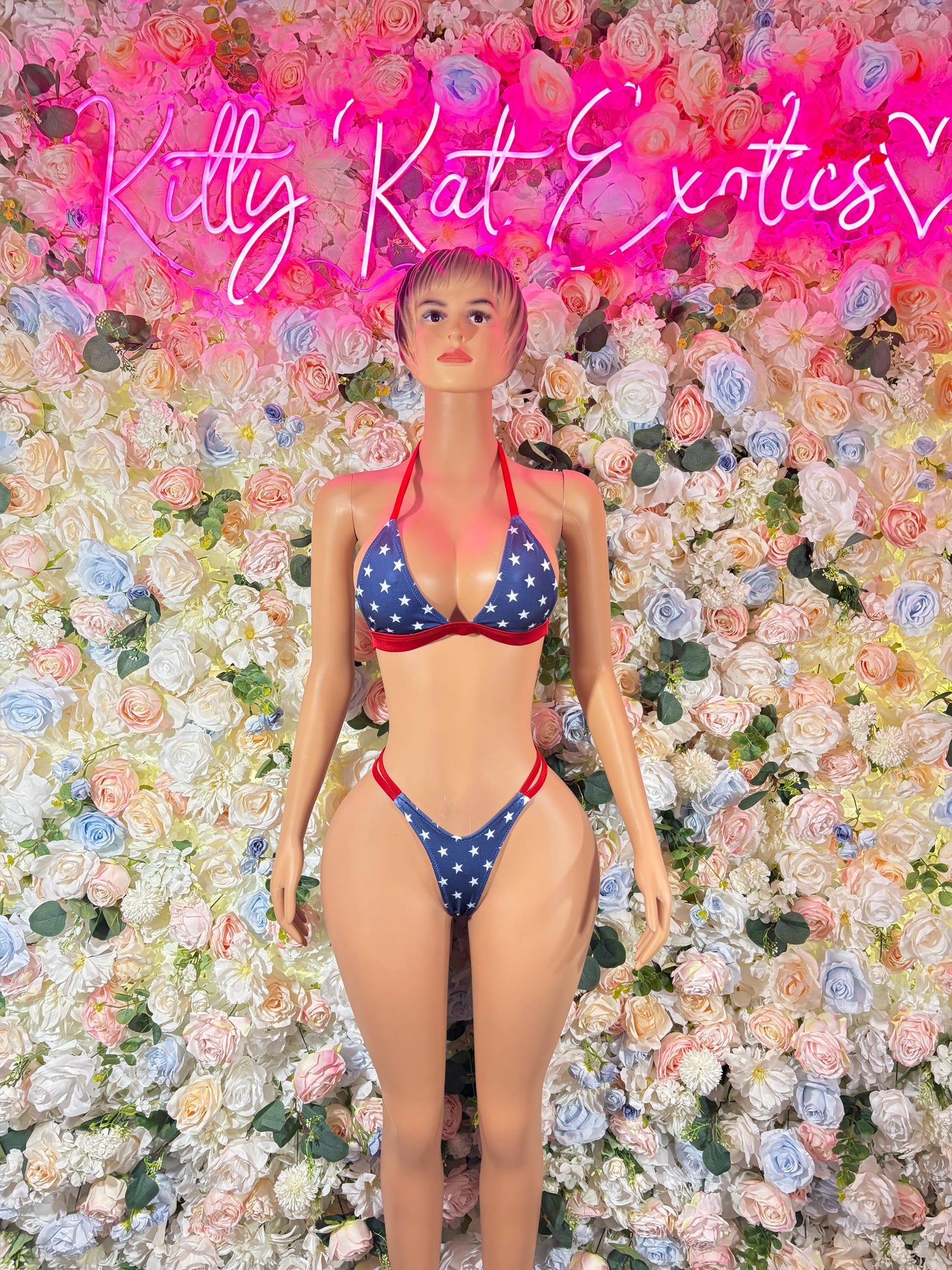 USA Flag Two Piece Bikini  USA Patriotic Exotic Outfit for Strippers, Raves, , and Performers  Red White & Blue Festival