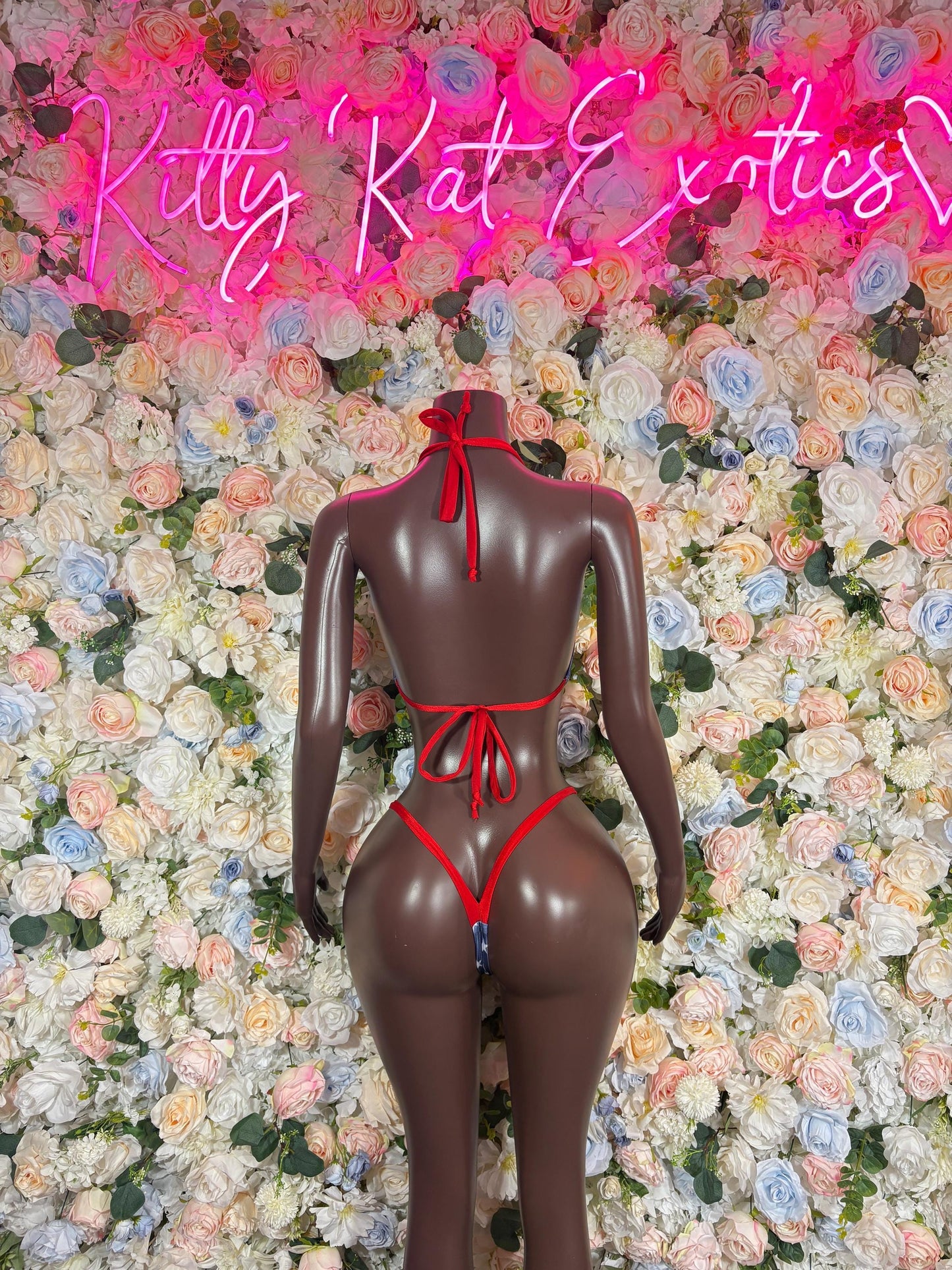 Labor Day USA Flag Bikini Two Piece  USA Patriotic Exotic Outfit for Strippers, Raves, Bottlegirls,   Red White & Blue