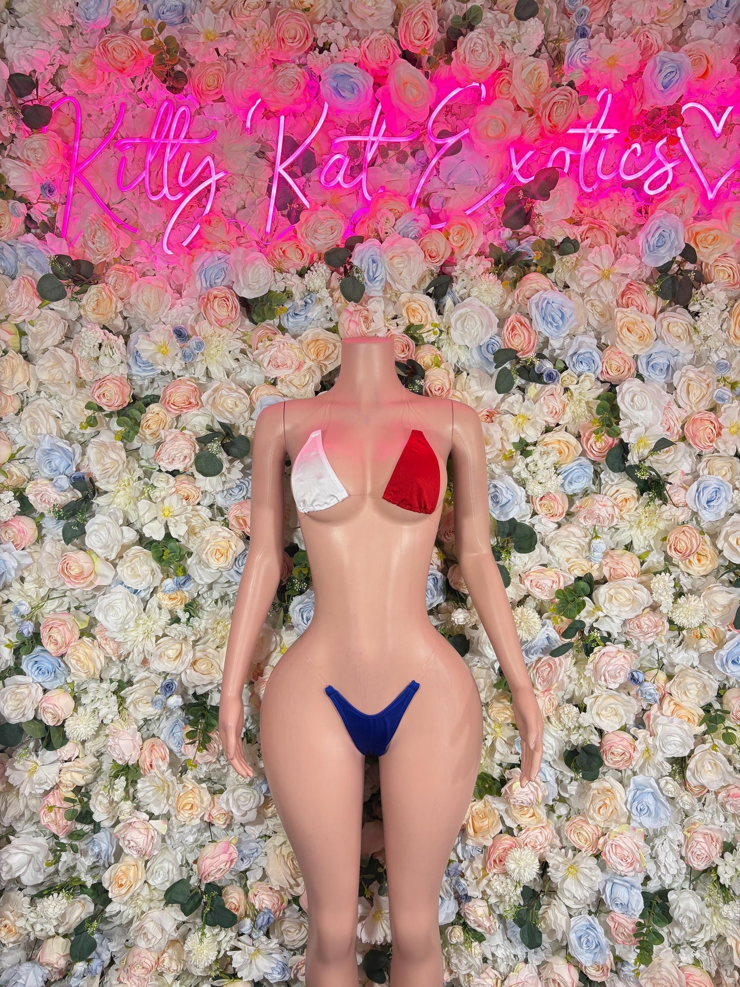 Labor Day USA Flag Bikini Two Piece  USA Patriotic Exotic Outfit for Strippers, Raves, Bottlegirls,   Red White & Blue