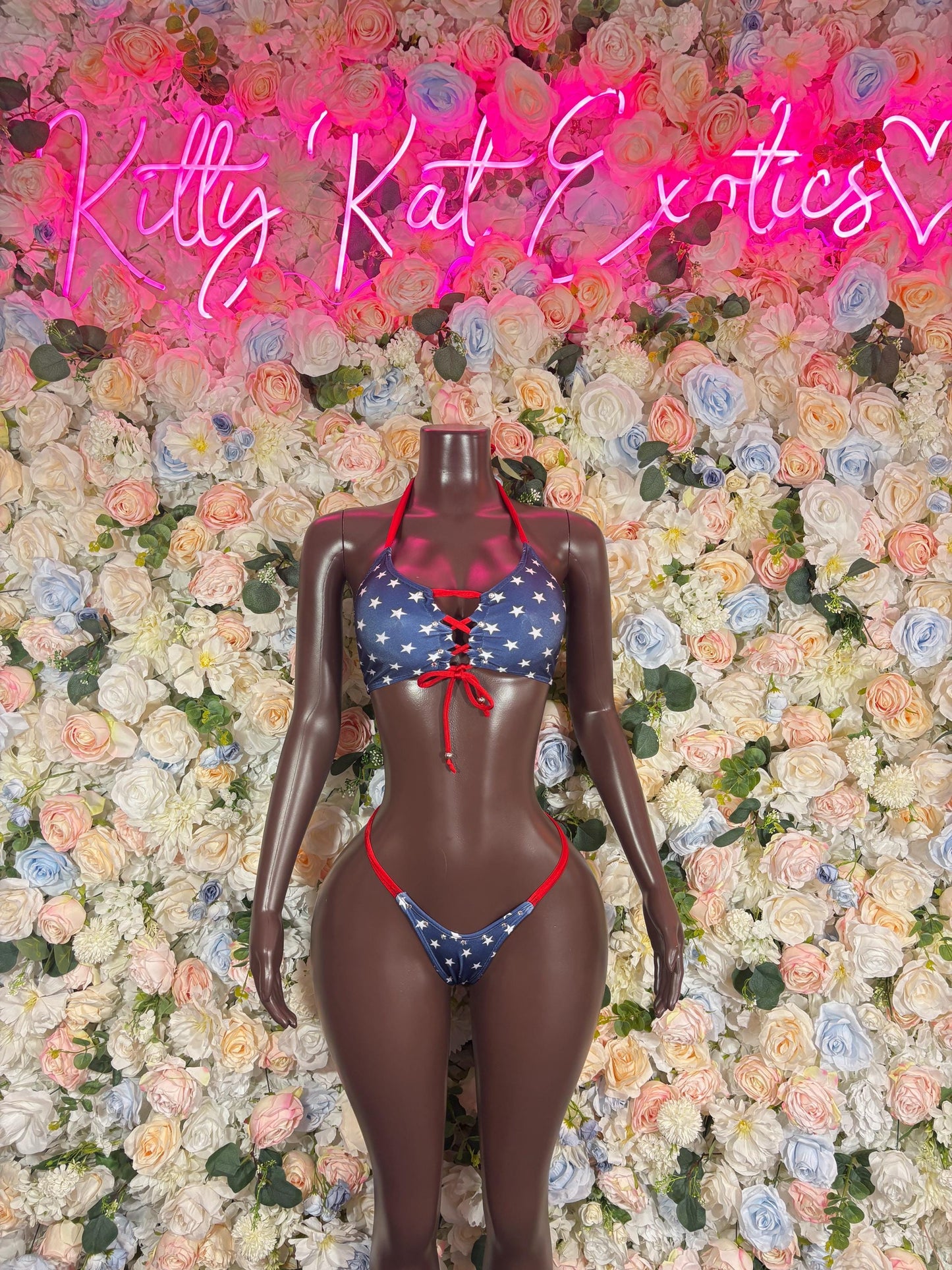 Labor Day USA Flag Bikini Two Piece  USA Patriotic Exotic Outfit for Strippers, Raves, Bottlegirls,   Red White & Blue