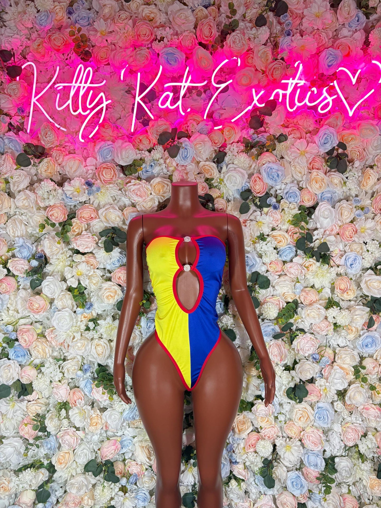 Ecuador One Piece Bodysuit | Swimsuit | Festival Outfit | Brazilian Cut Bikini | Country Flag Swimwear | Beachwear | Carnival Outfit