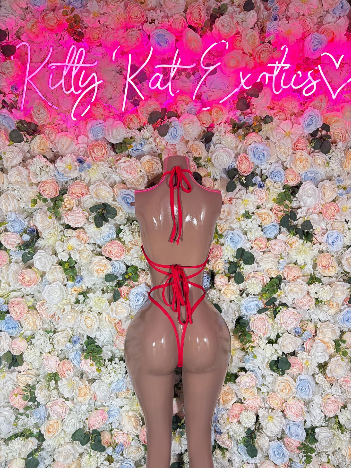 Ecuador One Piece Bodysuit | Swimsuit | Festival Outfit | Brazilian Cut Bikini | Country Flag Swimwear | Beachwear | Carnival Outfit