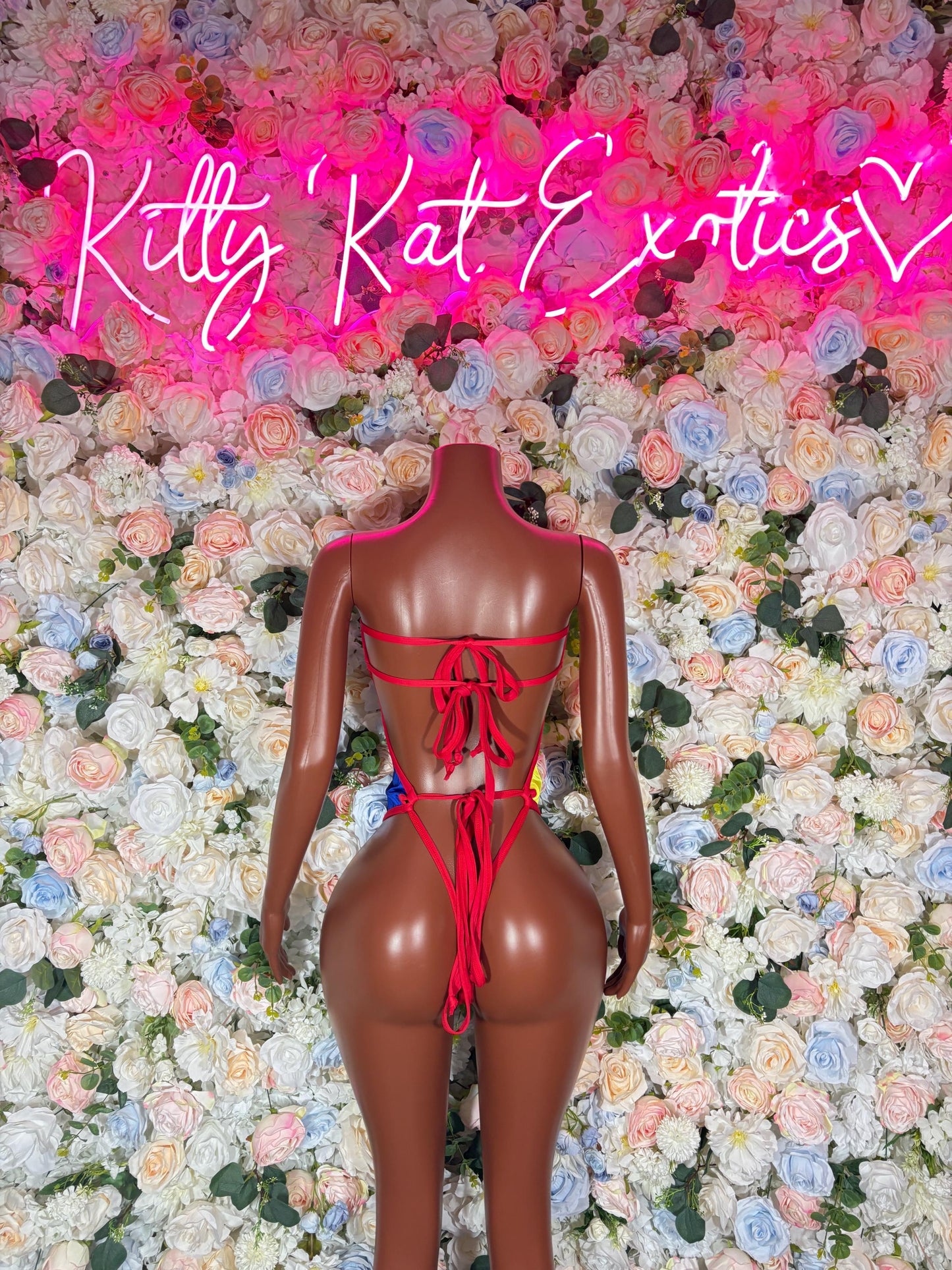 Ecuador One Piece Bodysuit | Swimsuit | Festival Outfit | Brazilian Cut Bikini | Country Flag Swimwear | Beachwear | Carnival Outfit