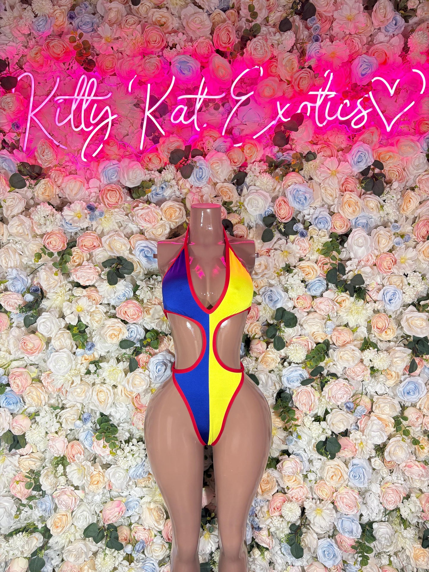 Ecuador One Piece Bodysuit | Swimsuit | Festival Outfit | Brazilian Cut Bikini | Country Flag Swimwear | Beachwear | Carnival Outfit