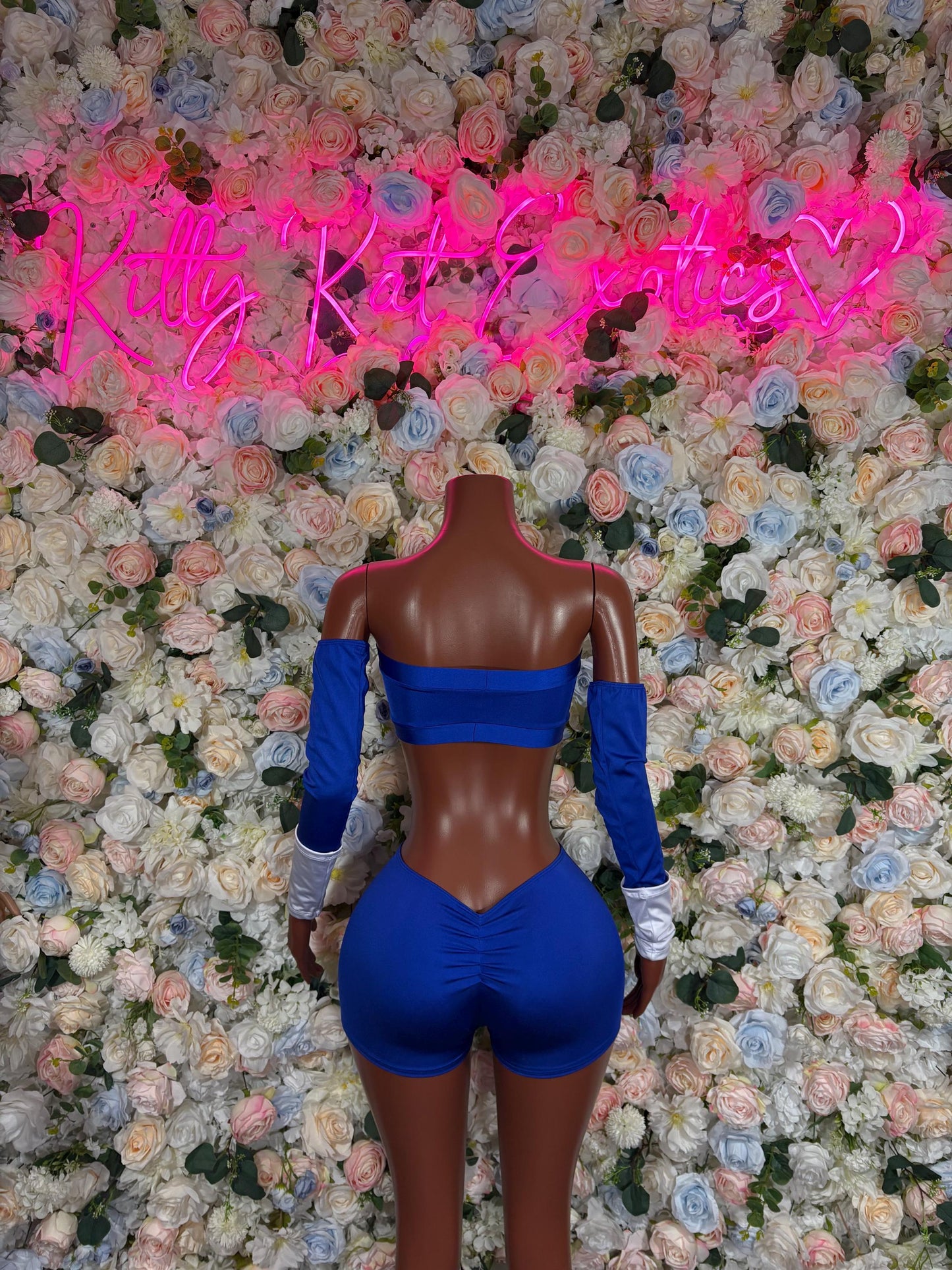 Halloween Costume Power Ranger Two Piece Blue With Sleeves for Women, Bottlegirl Bartender Outfit, Cosplay