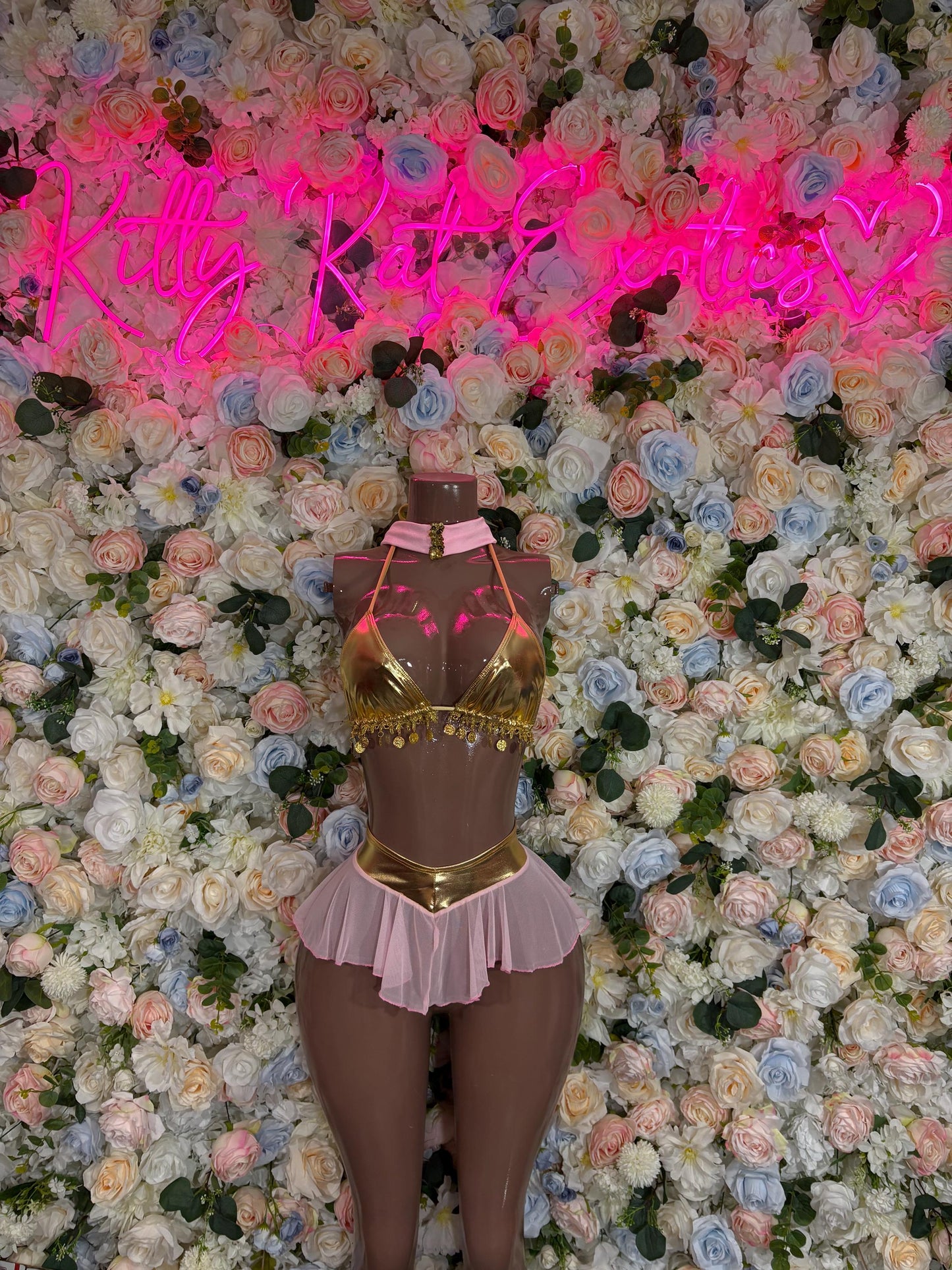 Gold-trimmed bodice with pink ruffled mini skirt costume