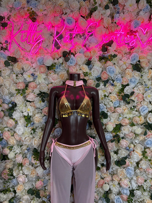 Arabian Princess Halloween Costumes Adult Costume, Bottlegirl Bartender Outfit, Cosplay Costume