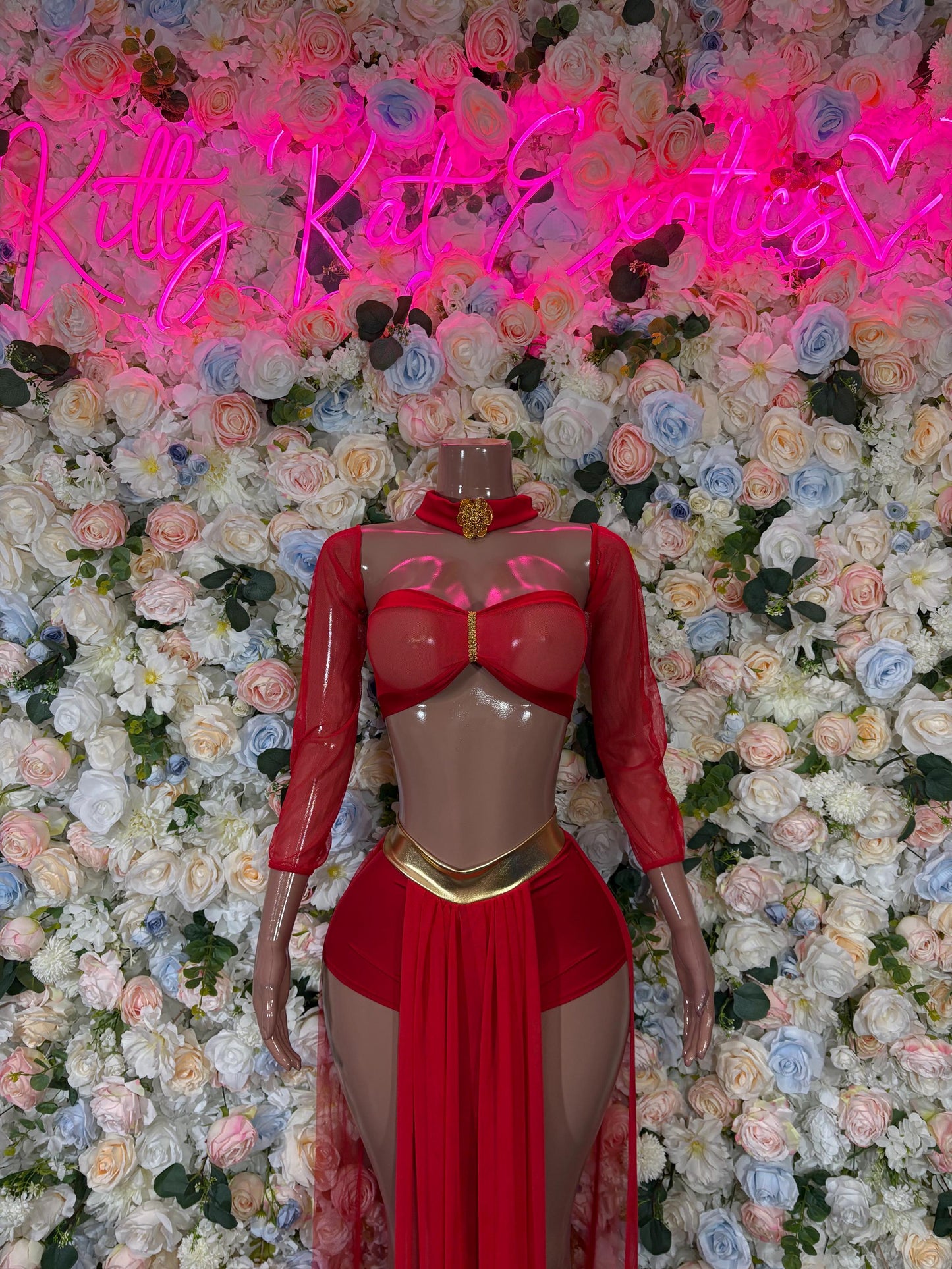 Red belly dancer costume with sheer long sleeves, bra top and draped skirt