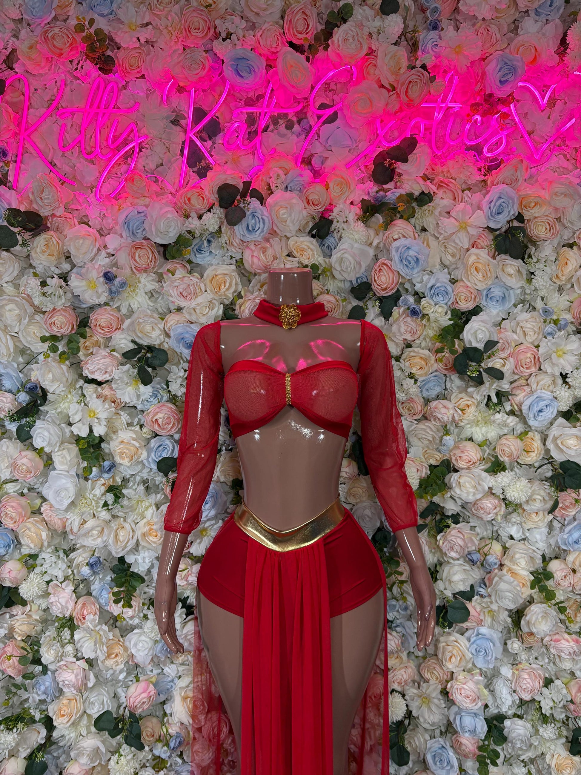 Red belly dancer costume with sheer long sleeves, bra top and draped skirt