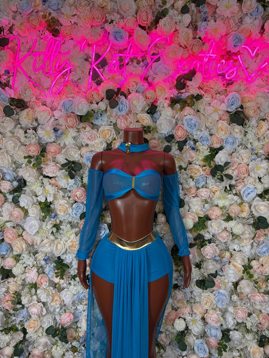 Halloween Costumes Arabian Princess Belly Dancer Adult Costume, Bottlegirl Bartender Outfit, Cosplay Costume