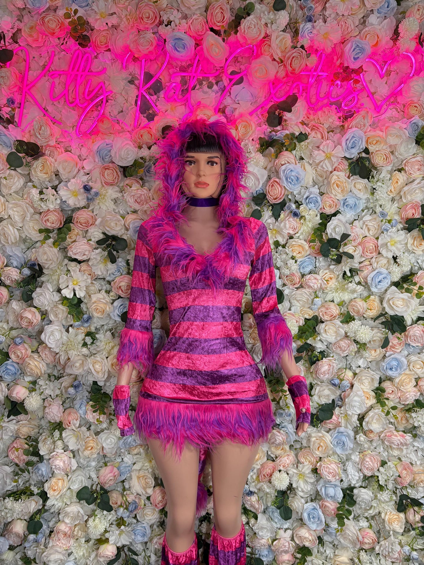 Kitty Cat Halloween Costumes Adult Costume, Bottlegirl Bartender Outfit, Cosplay Costume