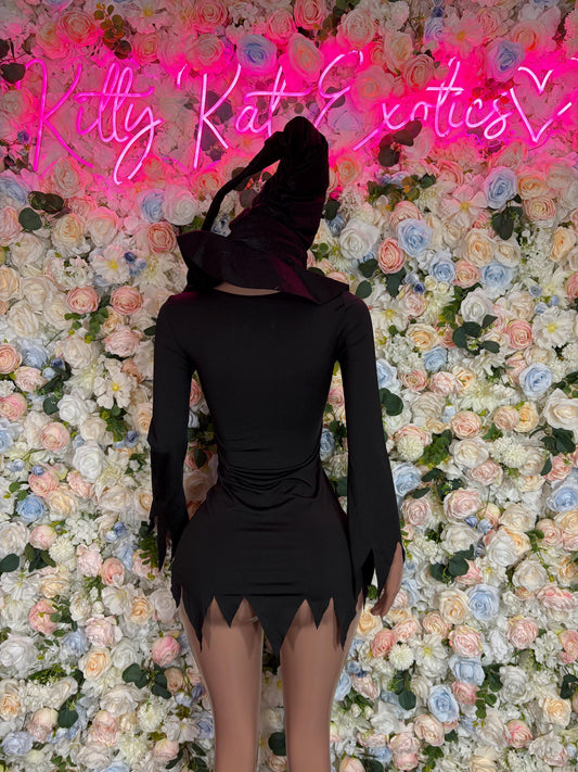 Costumes Witch Adult Costume, Bottlegirl Bartender Outfit, Cosplay Costume