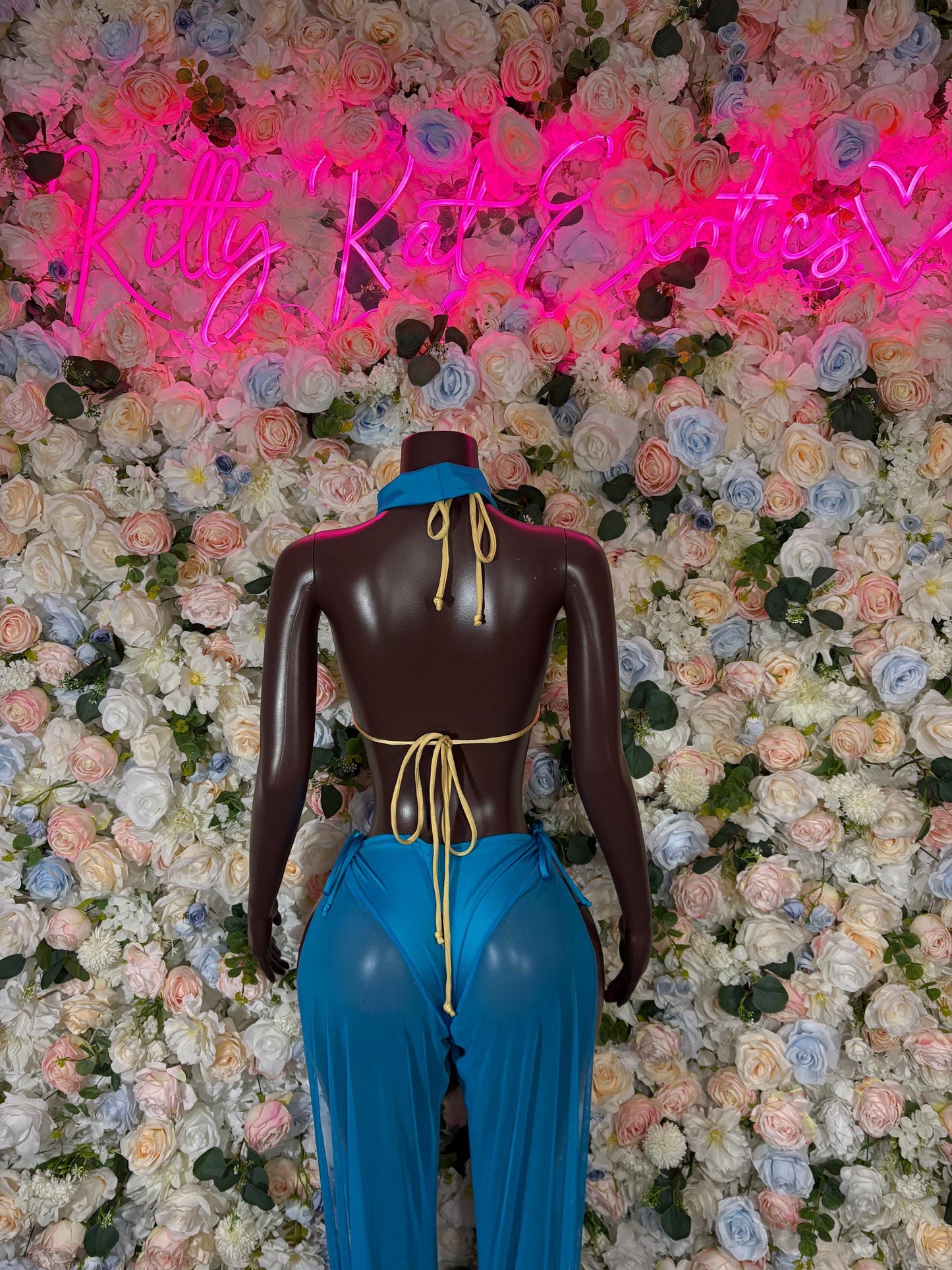 Princess Jazmine Halloween Costumes Adult Costume, Bottlegirl Bartender Outfit, Cosplay Costume