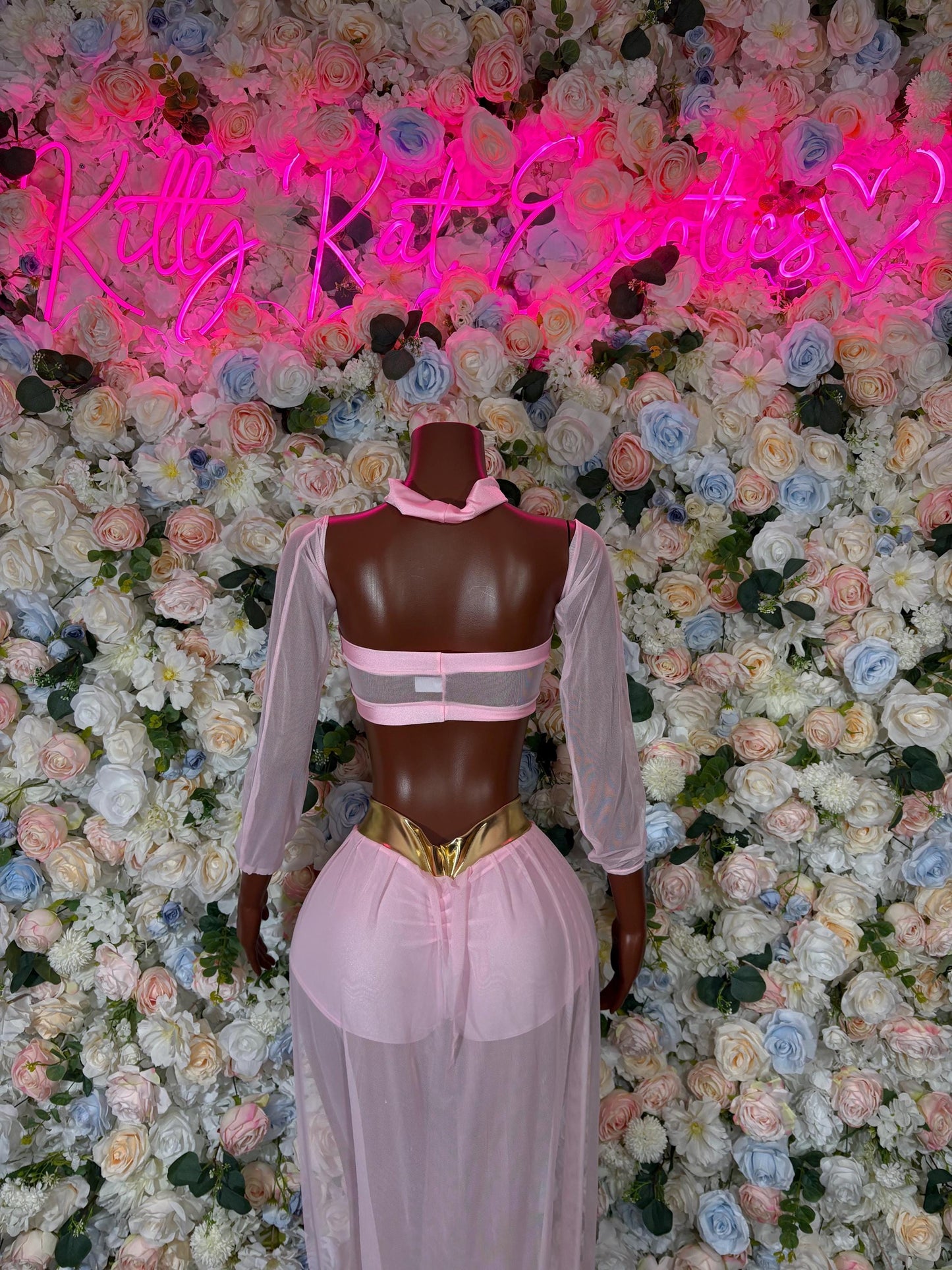 Arabian Princess  Halloween Costumes Adult Costume, Bottlegirl Bartender Outfit, Cosplay Costume