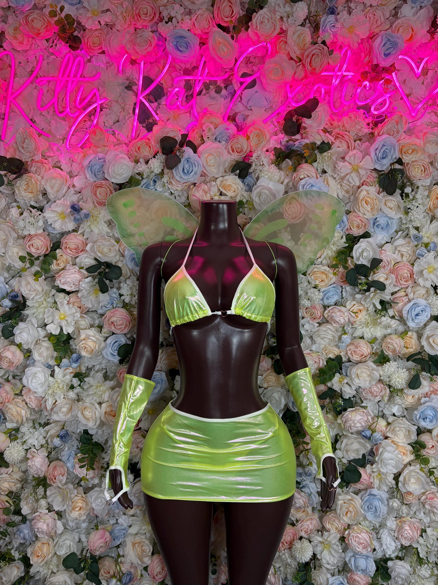 Tinker Bell Halloween Costume Adult, Bottlegirl Bartender Cosplay Outfit, Fairy Dress - All Accessories Shown Included