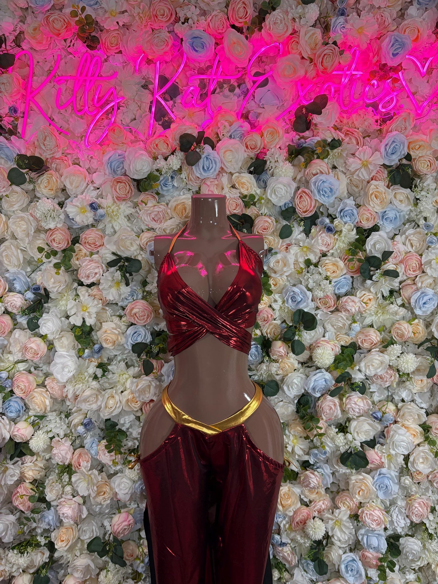 Halloween Costumes Belly Dancer  Womens Cosplay Costume, Bottlegirl Bartender Outfit, Cosplay Costume