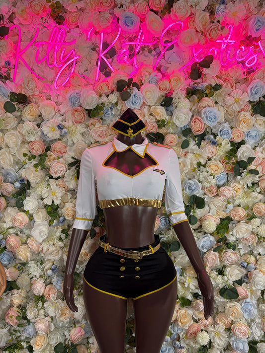 Halloween Costumes Airplane Stewardess  Womens Cosplay Costume, Bottlegirl Bartender Outfit, Cosplay Costume