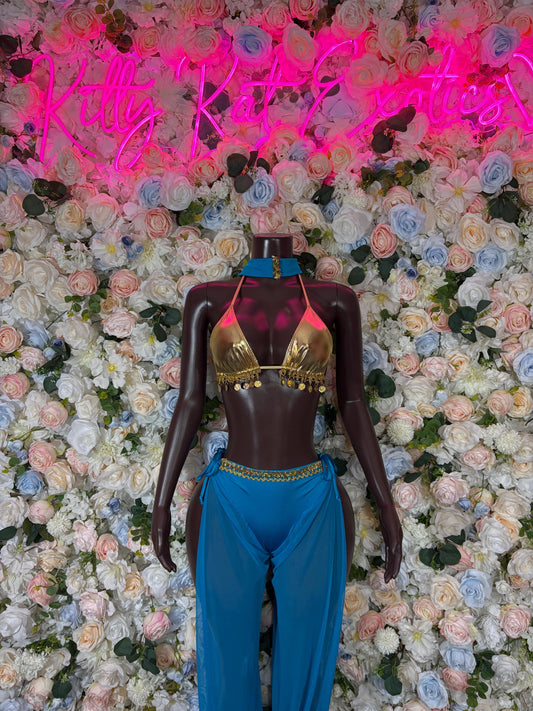 Halloween Costumes  Princess Jazmin Adult Costume, Bottlegirl Bartender Outfit, Cosplay Costume