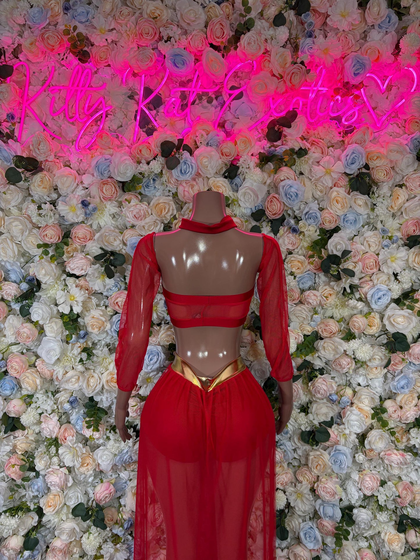 Red belly dancer costume with sheer back, long sleeves, bra top and flowing skirt