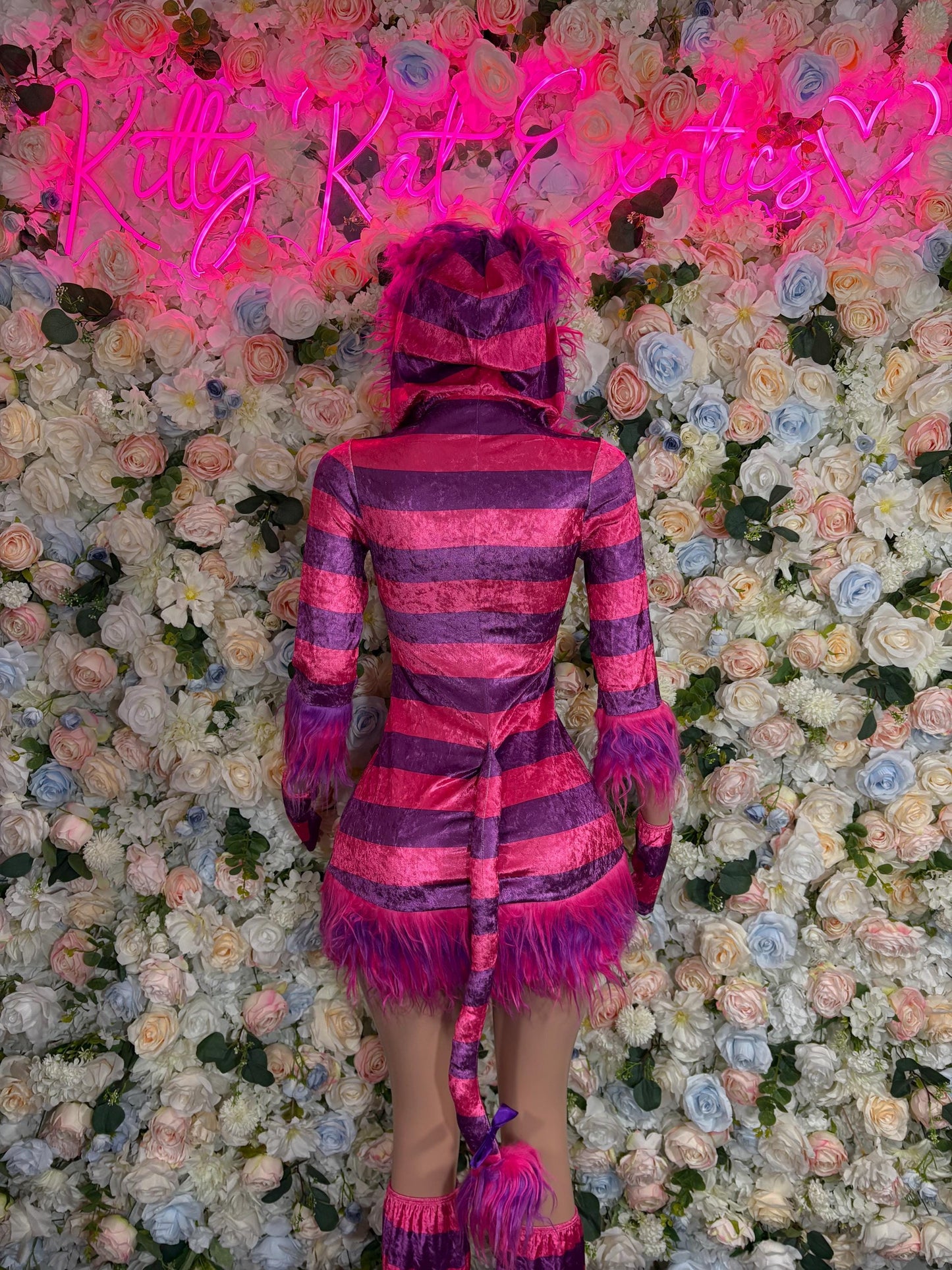 Kitty Cat Halloween Costumes Adult Costume, Bottlegirl Bartender Outfit, Cosplay Costume