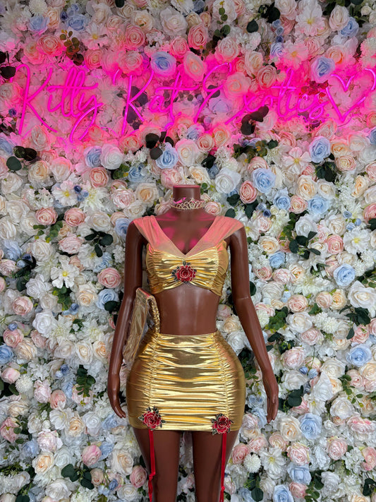 Halloween Costumes Adult Costume, Bottlegirl Bartender Outfit, Cosplay Costume