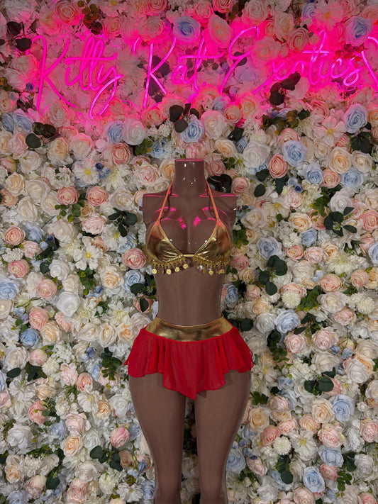 Arabian Princess  Halloween Costumes Adult Costume, Bottlegirl Bartender Outfit, Cosplay Costume