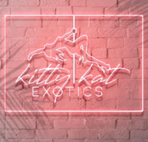 Halloween Costume “Police Officer- All Accessories Shown Included